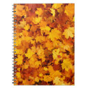 Search for indian notebooks Landscape