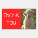 Search for golden doodle dog stickers Puppies