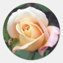 Search for rosebud stickers Roses