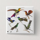 Search for bird watcher badges Birdwatching