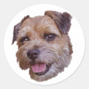 Search for border terriers stickers Puppy