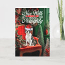 Search for boston terrier christmas cards Pets