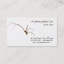 Search for spider web business cards Horror