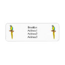 Search for macaw return address labels Bird