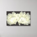Search for cream flowers canvas prints Nature