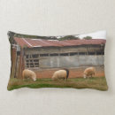Search for farm cushions Baby shower