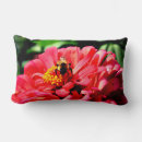 Search for bumble bee cushions Pink