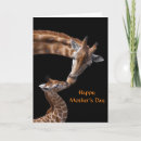 Search for giraffe mothers day cards Animal