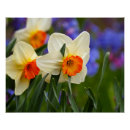 Search for luminous posters Floral