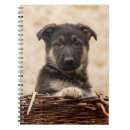 Search for german shepherd notebooks Puppy
