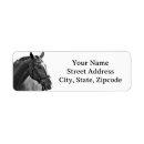 Search for trainer return address labels Equestrian