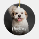 Search for pet keepsake Zpet