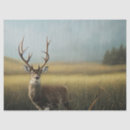 Search for deer stand Buck