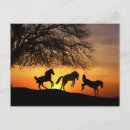 Search for horse postcards Equine
