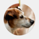 Search for jack russell dog christmas tree decorations Animals