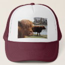 Search for hairy hats Animals