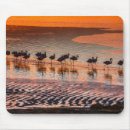 Search for reservation mousepads Danita delimont
