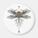 Search for flying dragon magnets Dragonfly