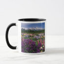 Search for teton range Lupine
