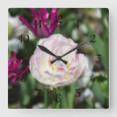 Search for tulip clocks Photography