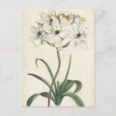 Search for botanical study postcards Florals