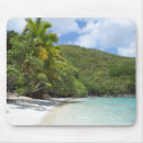 Search for st john Palm