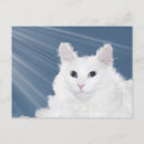 Search for pet loss postcards Kitty