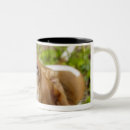 Search for looking back mugs Looking at camera
