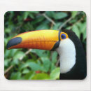 Search for beaked mousepads White