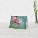 Search for apple blossom cards Flower
