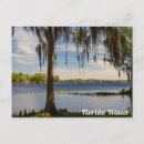 Search for winter humour postcards Florida