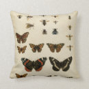 Search for insect cushions Animals