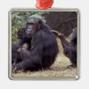 Search for tanzania christmas tree decorations Baby