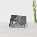 Search for wolf blank cards Animals