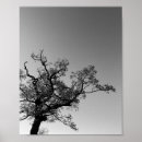 Search for black and white tree silhouette art Wildlife