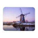 Search for during cards Nature