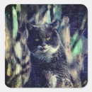 Search for mammal stickers Cat