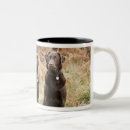 Search for black labrador retriever mugs Animals