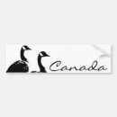 Search for goose bumper stickers Animals