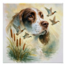 Search for springer spaniel dog posters Pet