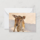 Search for wildlife note cards Baby