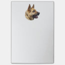 Search for alsatian Puppies