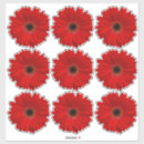 Search for red daisy stickers Flower