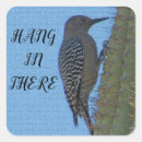 Search for hanging stickers Hang in there