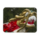 Search for dragon rectangular magnets Asian