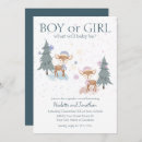 Search for snow gender reveal invitations Winter