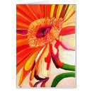 Search for orange gerbera cards Summer