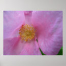 Search for still life posters Macro