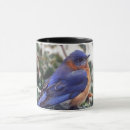 Search for eastern bluebird mugs Nature
