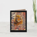 Search for large print cards For him